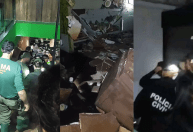 RS: petshop deixou animais morrerem no subsolo e salvou computadores, diz delegada