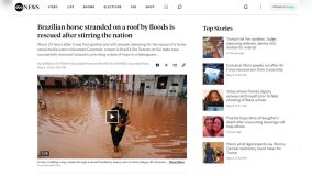 ABC News repercute resgate do cavalo &quot;Caramelo&quot; no Rio Grande do Sul