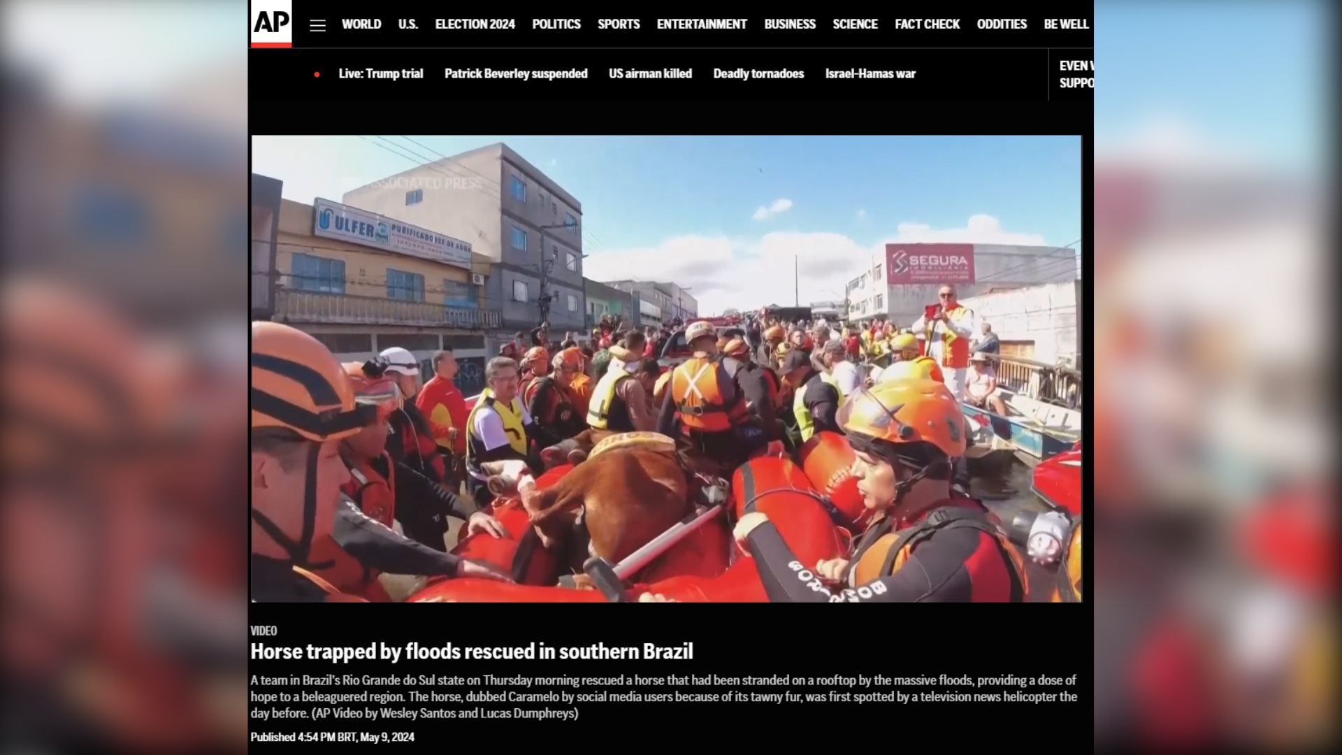 AP News repercute resgate do cavalo "Caramelo" no Rio Grande do Sul