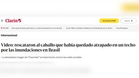 Clarín repercute resgate do cavalo &quot;Caramelo&quot; no Rio Grande do Sul