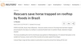 Reuters repercute resgate do cavalo &quot;Caramelo&quot; no Rio Grande do Sul