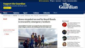 The Guardian repercute resgate do cavalo &quot;Caramelo&quot; no Rio Grande do Sul
