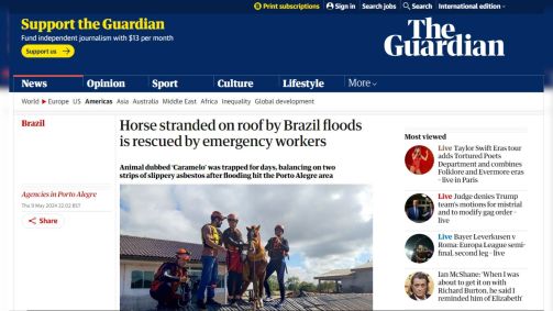The Guardian repercute resgate do cavalo &quot;Caramelo&quot; no Rio Grande do Sul