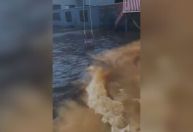 Após nova cheia, Guaíba tem ondas e invade casas; bairro é evacuado em Porto Alegre