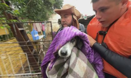 CNN acompanha operação de resgate de cachorro ilhado em enchente de Porto Alegre