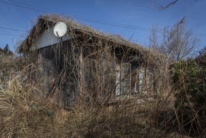 Ervas daninhas e videiras crescem ao redor de uma casa abandonada em 09 de março de 2021 em Okuma, Japão.
