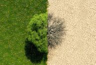 Maioria acredita que ações individuais podem aliviar crise climática — geração Z é mais pessimista