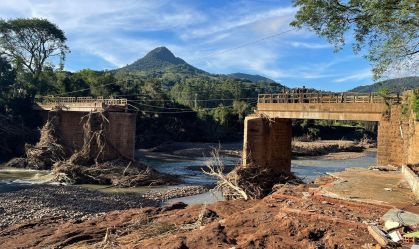 Resiliência a eventos climáticos extremos demanda plantio de 10 bi de mudas no Brasil, diz estudo
