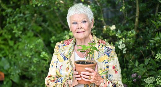 Judi Dench em evento no último final de semana em Chelsea