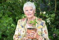 Judi Dench aponta que deve se aposentar dos palcos devido à problema de visão