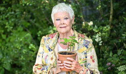 Judi Dench em evento no último final de semana em Chelsea