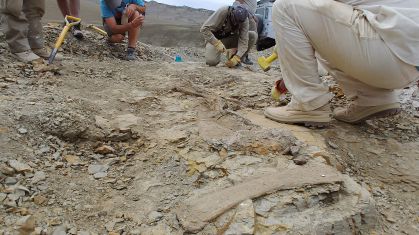 Koleken inakayali, nova espécie de dinossauro carnívoro descoberta na Argentina em maio de 2024