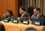 Enchentes do Rio Grande do Sul são tema de encontro de empresários na ONU