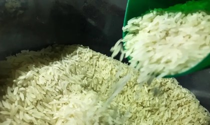 Conab suspendeu leilão para compra de 104 mil toneladas de arroz polido