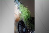 "A situação está crítica por aqui", diz morador de Porto Alegre sobre chuvas