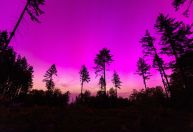 Auroras iluminam o céu durante rara tempestade solar; veja fotos
