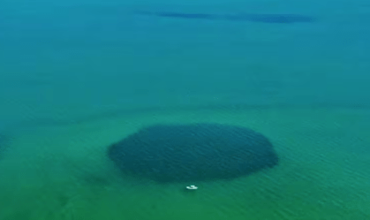 Taam-Ja', buraco marinho mais profundo do mundo, descoberto no México