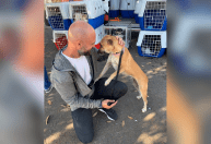 Animais resgatados das enchentes no Rio Grande do Sul são adotados em Brasília