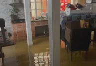 Vídeo: moradores do RS retornam às residências alagadas temendo saques e furtos