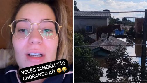 Cavalo foi resgatado na manhã desta quinta (9)