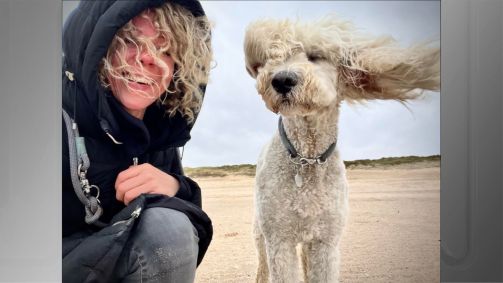 &quot;Curls in the wind” (Curvas no vento), de Julia Illig