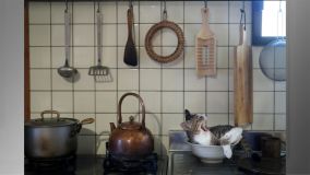 “Kitty in the kitchen” (Gato na cozinha), de Atsuyuki Ohshima