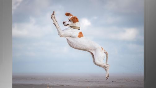 “Dancing Queen”, de Vera Faupel