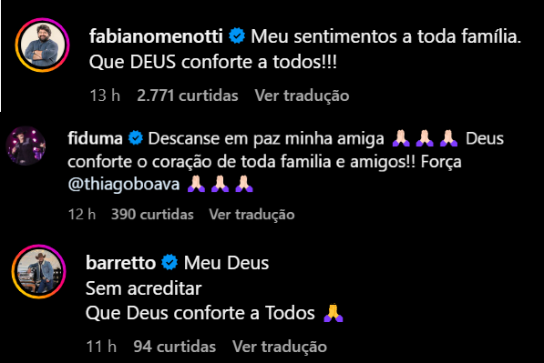 Comentários dos sertanejos do anúncio da morte da deputada federal Amália Barros / Instagram/Reprodução