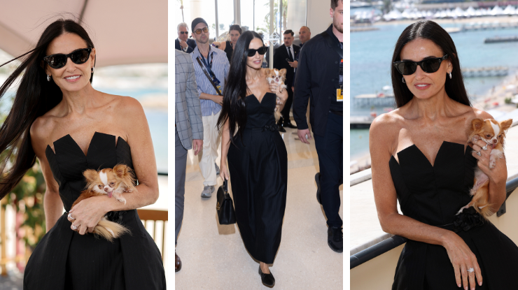 Demi Moore posa com cachorrinha Pilaf em Cannes / Neilson Barnard/Getty Images// Arnold Jerocki/GC Images// Pascal Le Segretain/Getty Images