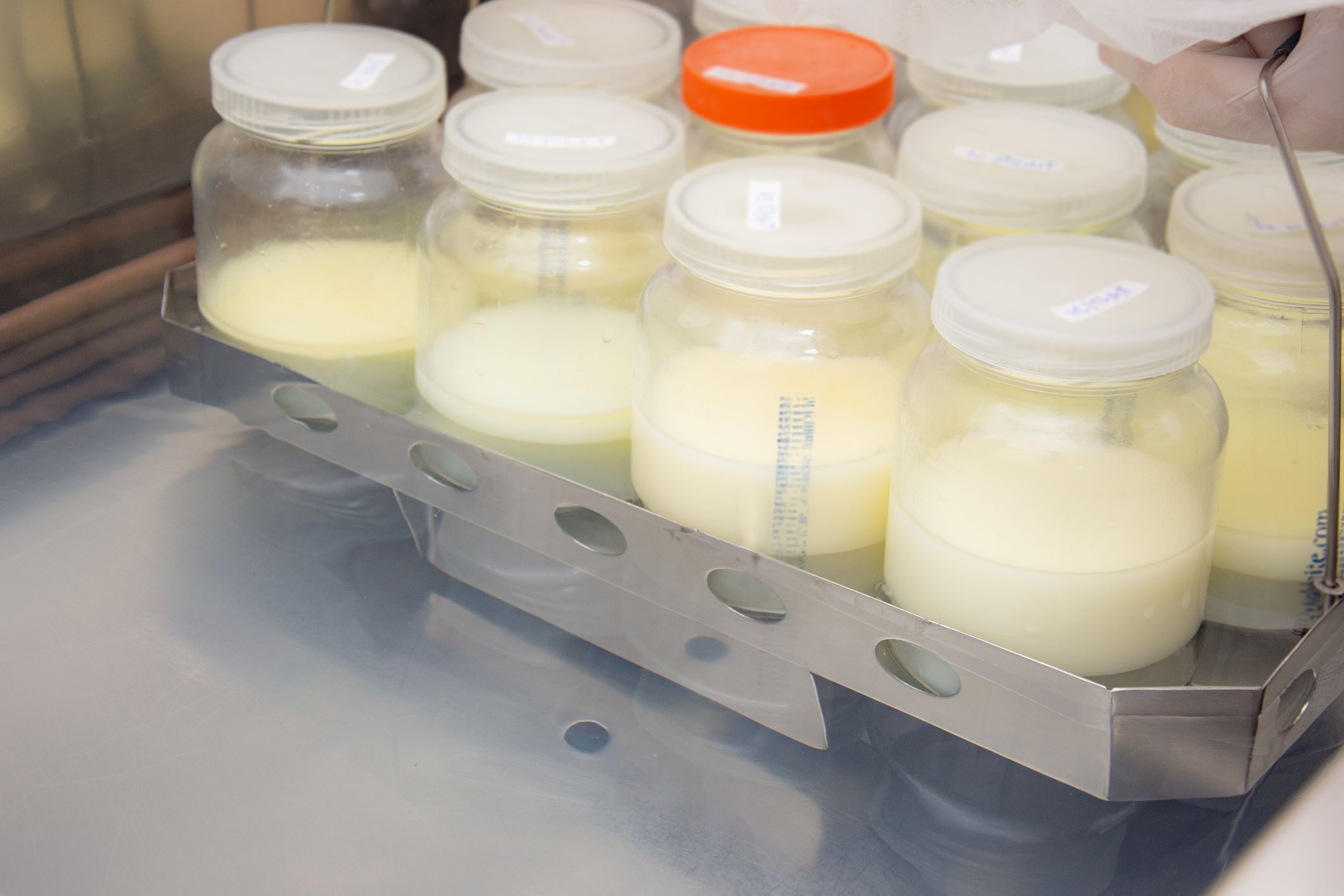 donated breast milk process