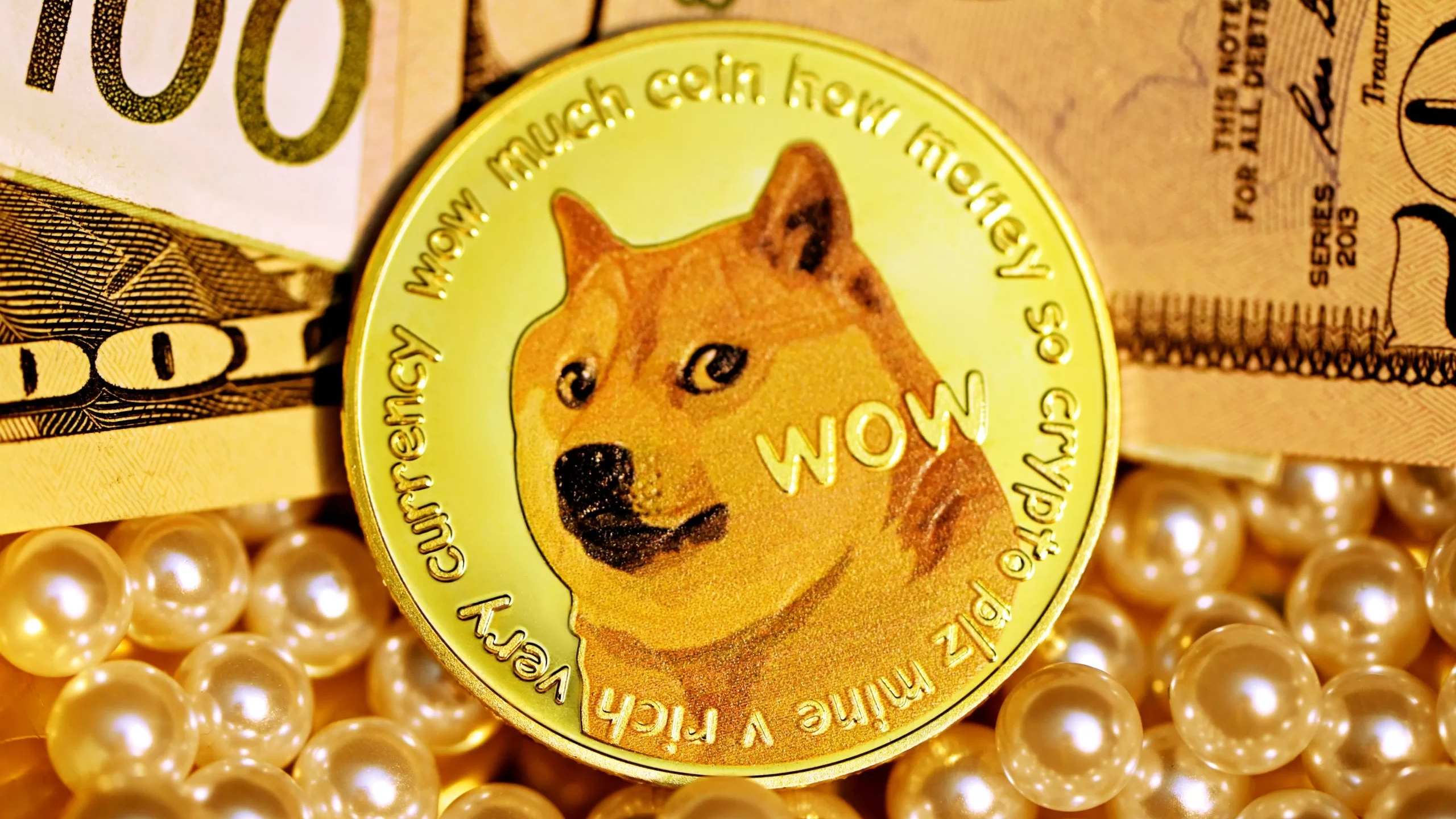 A cachorra foi adotada em um abrigo, alguns anos antes, e sua dona disse no Instagram que “nunca, em um milhão de anos, eu teria imaginado o impacto que minha sessão de fotos de Kabosu teria na internet"