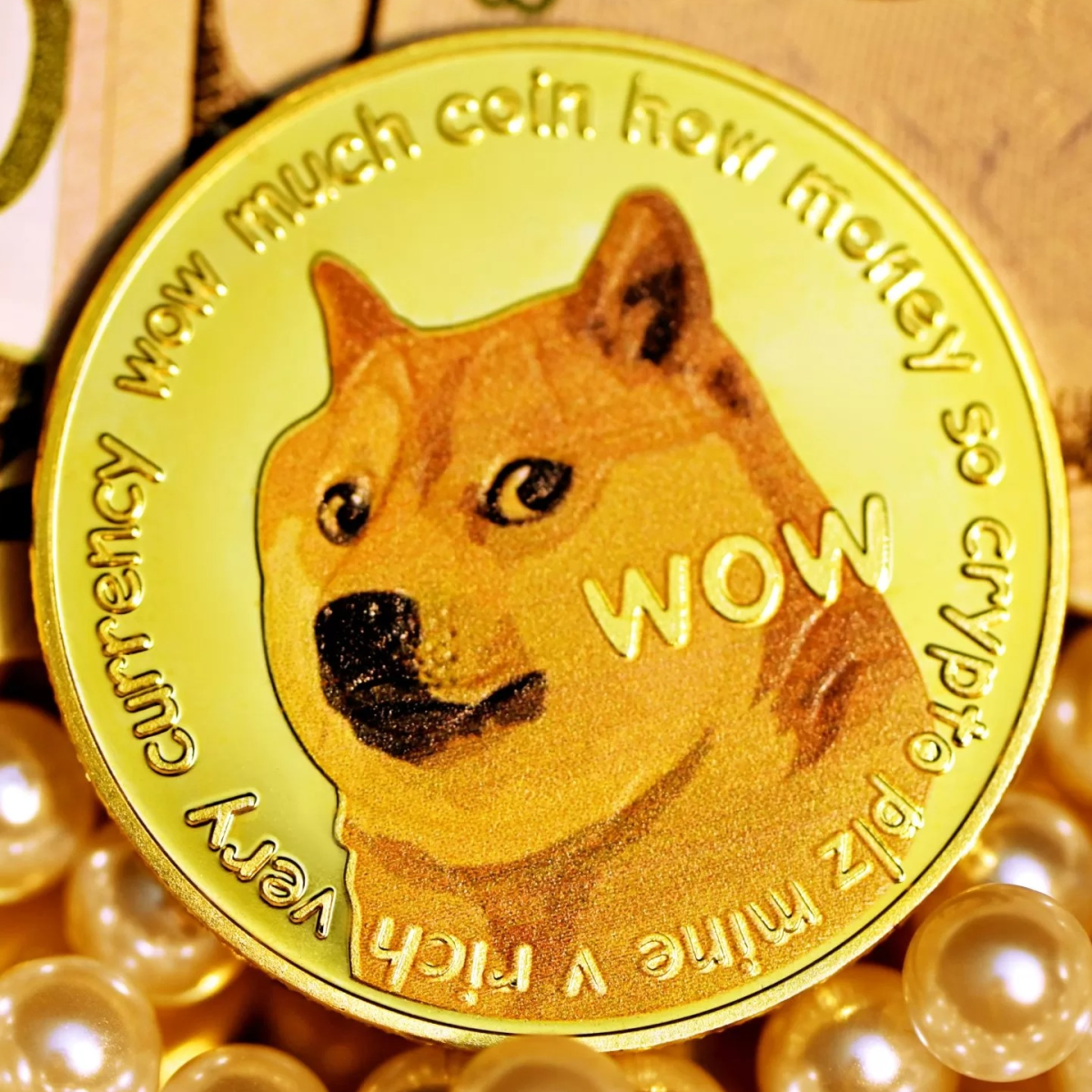 Relembre a história do meme da cachorra Kabosu, a 
