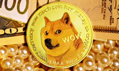 A cachorra foi adotada em um abrigo, alguns anos antes, e sua dona disse no Instagram que “nunca, em um milhão de anos, eu teria imaginado o impacto que minha sessão de fotos de Kabosu teria na internet"