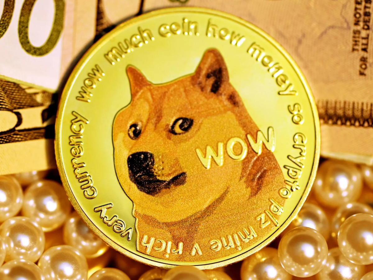 Relembre a história do meme da cachorra Kabosu, a 