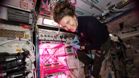 Astronauta Kayla Barron monitorando as prateleiras de pesquisa que armazenam até 100 experimentos simultaneamente