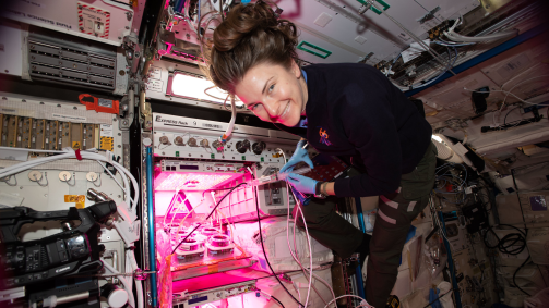 Astronauta Kayla Barron monitorando as prateleiras de pesquisa que armazenam até 100 experimentos simultaneamente