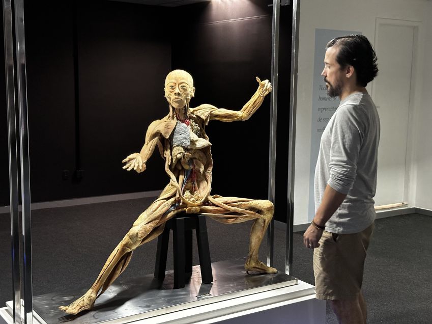 Exposição internacional "Corpo Humano" chega a São Paulo até dia 18 de agosto / Lucas Guimarães