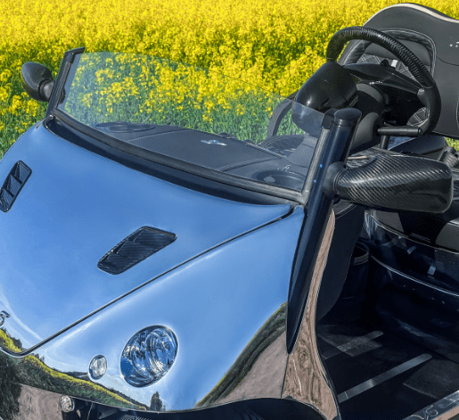 Carro de golfe superluxuoso ganha mercado e as estradas / Reprodução/Garia