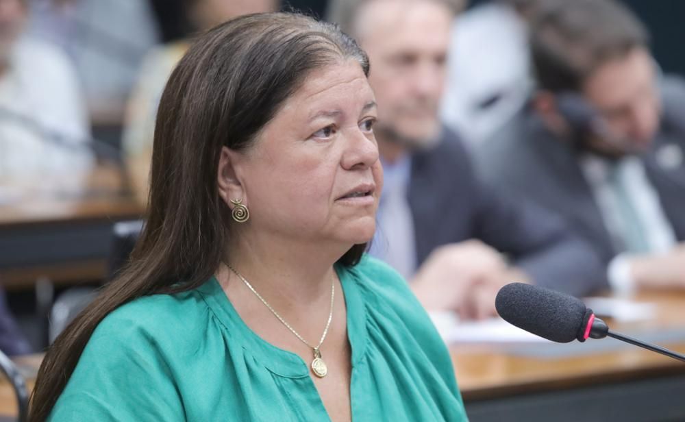 A deputada federal Laura Carneiro (PSD-RJ)