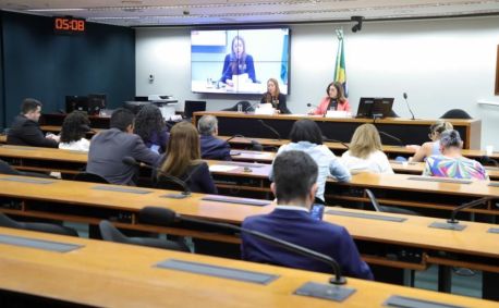 Comissão de Defesa dos Direitos da Mulher