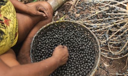 Mortalidade durante gravidez e pós-parto é maior entre indígenas, diz estudo