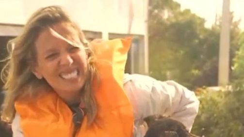 Luisa Mell fala sobre fratura durante resgate no RS