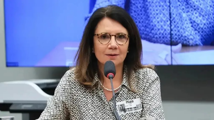 Secretária de Mudanças do Clima do Ministério do Meio Ambiente, Ana Toni, durante audiência pública na Comissão Especial da Câmara sobre Prevenção e Auxílio a Desastres e Calamidades Naturais, em 14 de maio de 2024 • Lula Marques/Agência Brasil