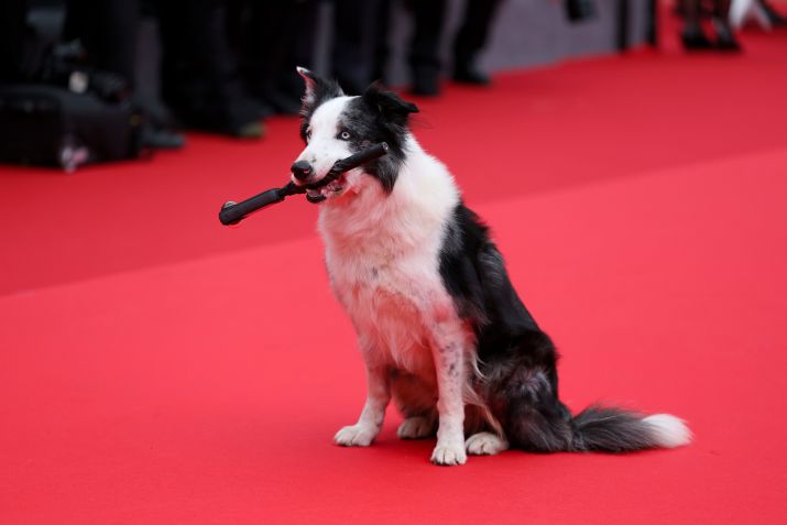 Messi posa no tapete vermelho de Cannes / Cindy Ord/Getty Images