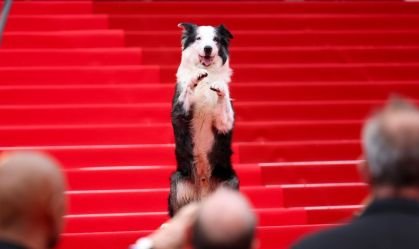 Cachorro Messi faz aparição na 77ª edição do evento