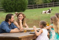 Filme "Milagres do Paraíso" é inspirado em história real; veja