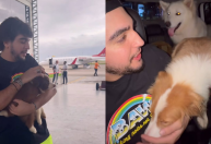 Nattan resgata cães 