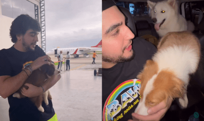 Nattan resgata cães "sequestrados" por Henrique e Juliano e deixa presente