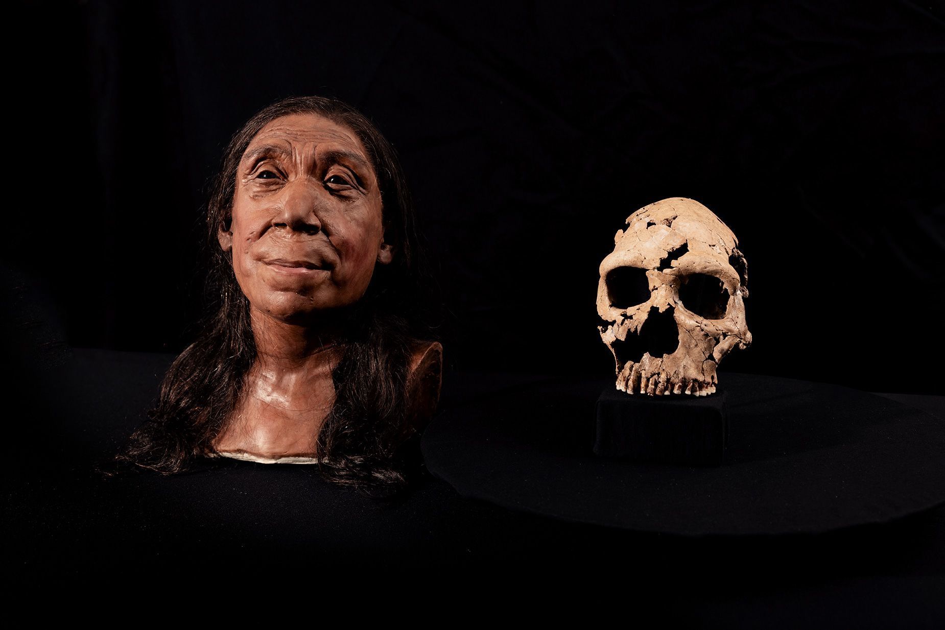 neandertal 1