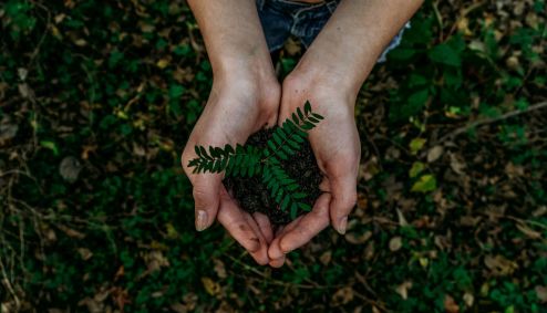 Biodiversidade; ESG
